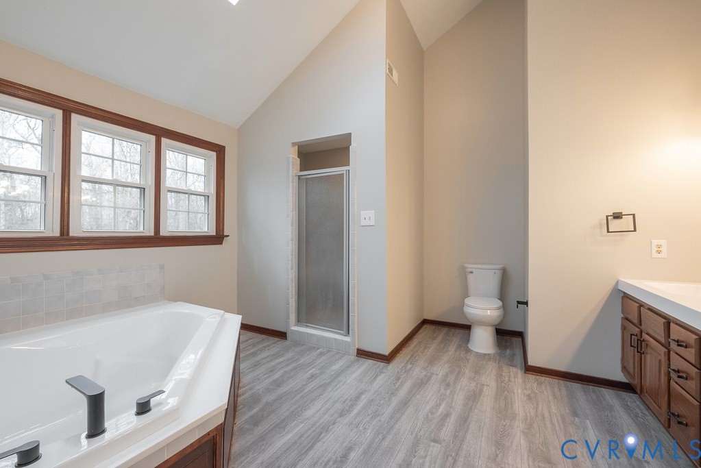 11030 Golden Leaf Road Chester, VA 23831 - Photo 28 of 50 Bathroom with a bath, a shower stall, vanity, ligh