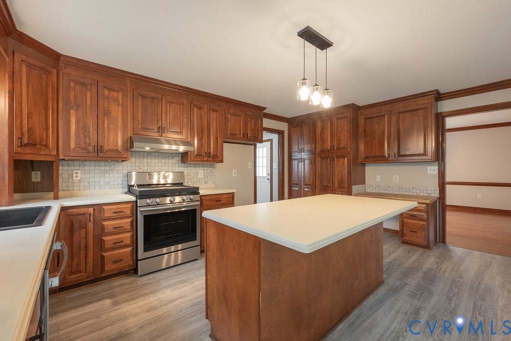 11030 Golden Leaf Road Chester, VA 23831 - Photo 9 of 50 Kitchen with stainless steel appliances, light cou
