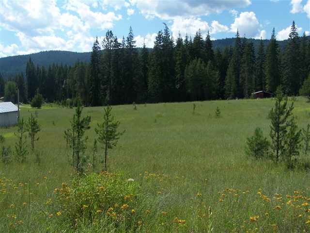 Lot 5 Le Clerc Road Cusick, WA 99119 - Photo 1 of 8