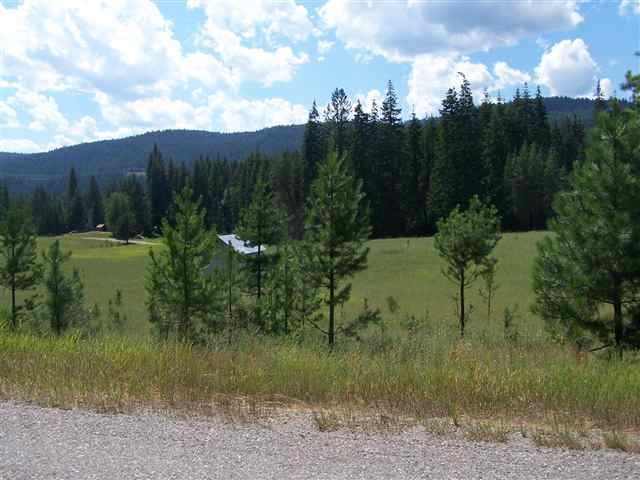 Lot 5 Le Clerc Road Cusick, WA 99119 - Photo 3 of 8
