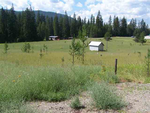 Lot 5 Le Clerc Road Cusick, WA 99119 - Photo 4 of 8