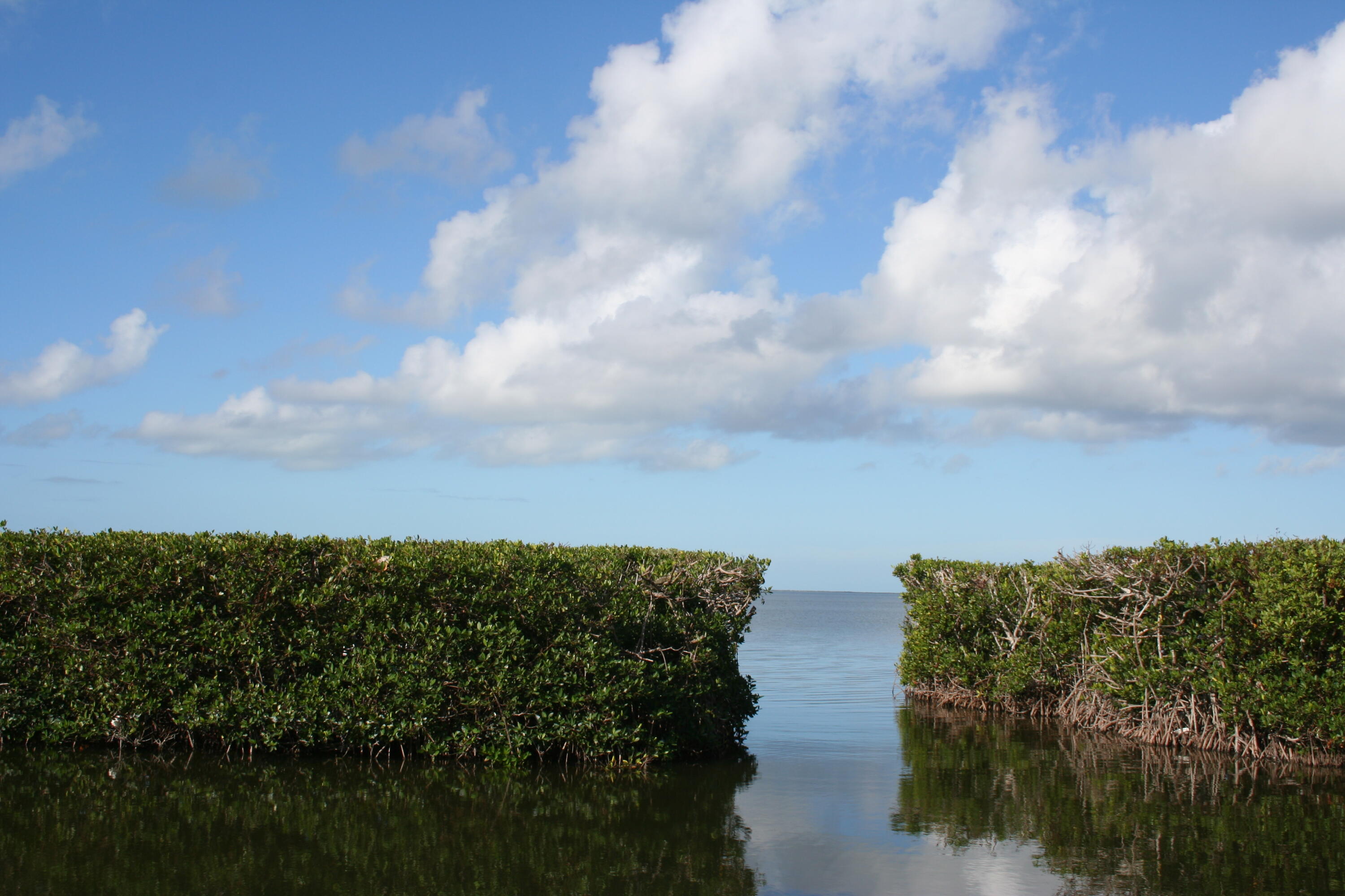 8 Bowen Drive Key Largo, FL 33037 - Photo 21 of 27 a view of a lake with a yard