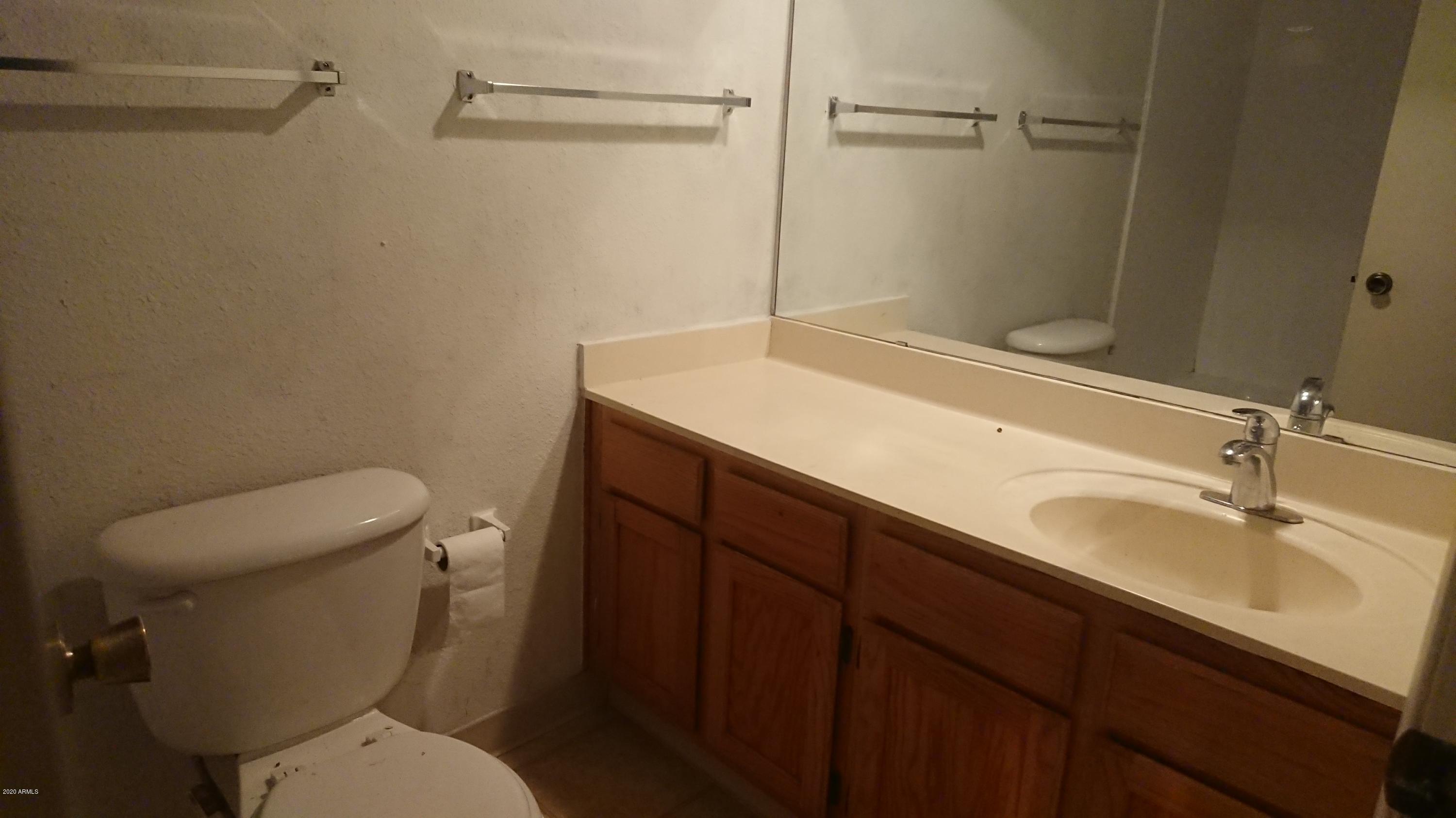 747 South Ext Road, Unit 217 Mesa, AZ 85210 - Photo 19 of 29 Master Bathroom
