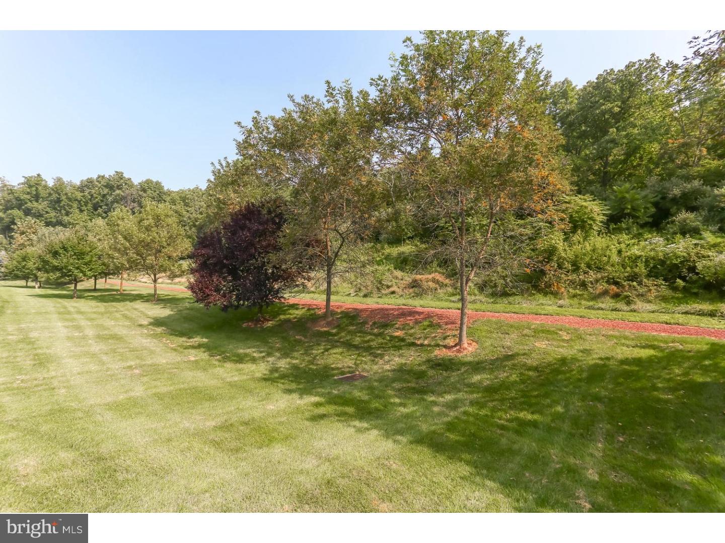 159 Sloan Road Phoenixville, PA 19460 - Photo 4 of 25 Back Yard