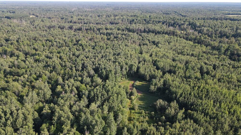 East Procunier Road Harrisville, MI 48740 - Photo 19 of 78 Gallery Image 19