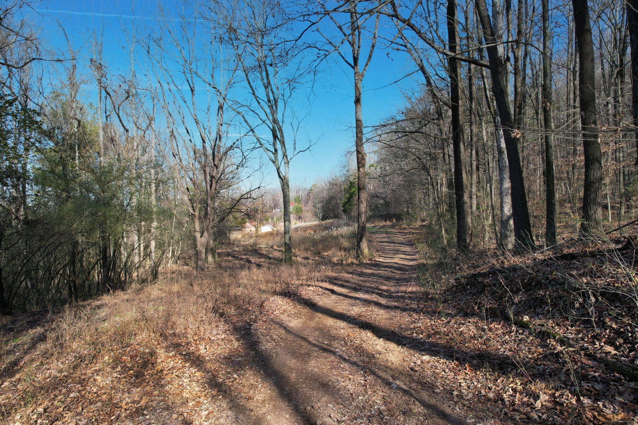 1 Weatherly Switch Trail Southwest Cleveland, TN 37311 - Photo 5 of 16 Gallery Image 5