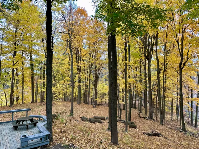 $649,000 | 15833 East B Avenue, Augusta, MI 49012