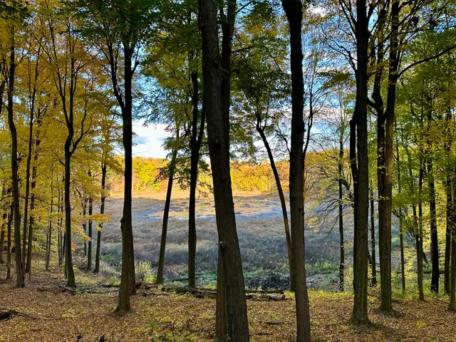 $649,000 | 15833 East B Avenue, Augusta, MI 49012