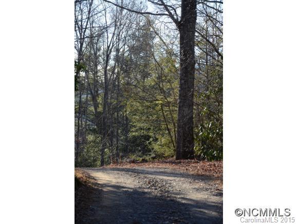 999 Shumont Road Black Mountain, NC 28711 - Photo 3 of 18