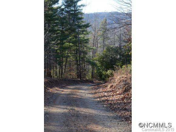 999 Shumont Road Black Mountain, NC 28711 - Photo 4 of 18