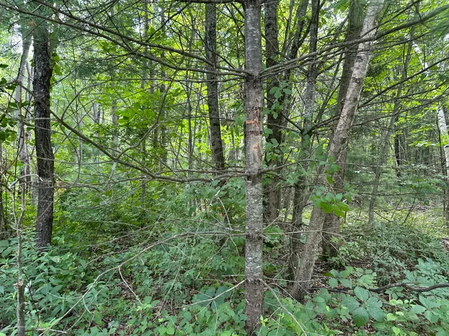 $52,000 | M40-l13-6 Mallard Road, Madison, ME 04950