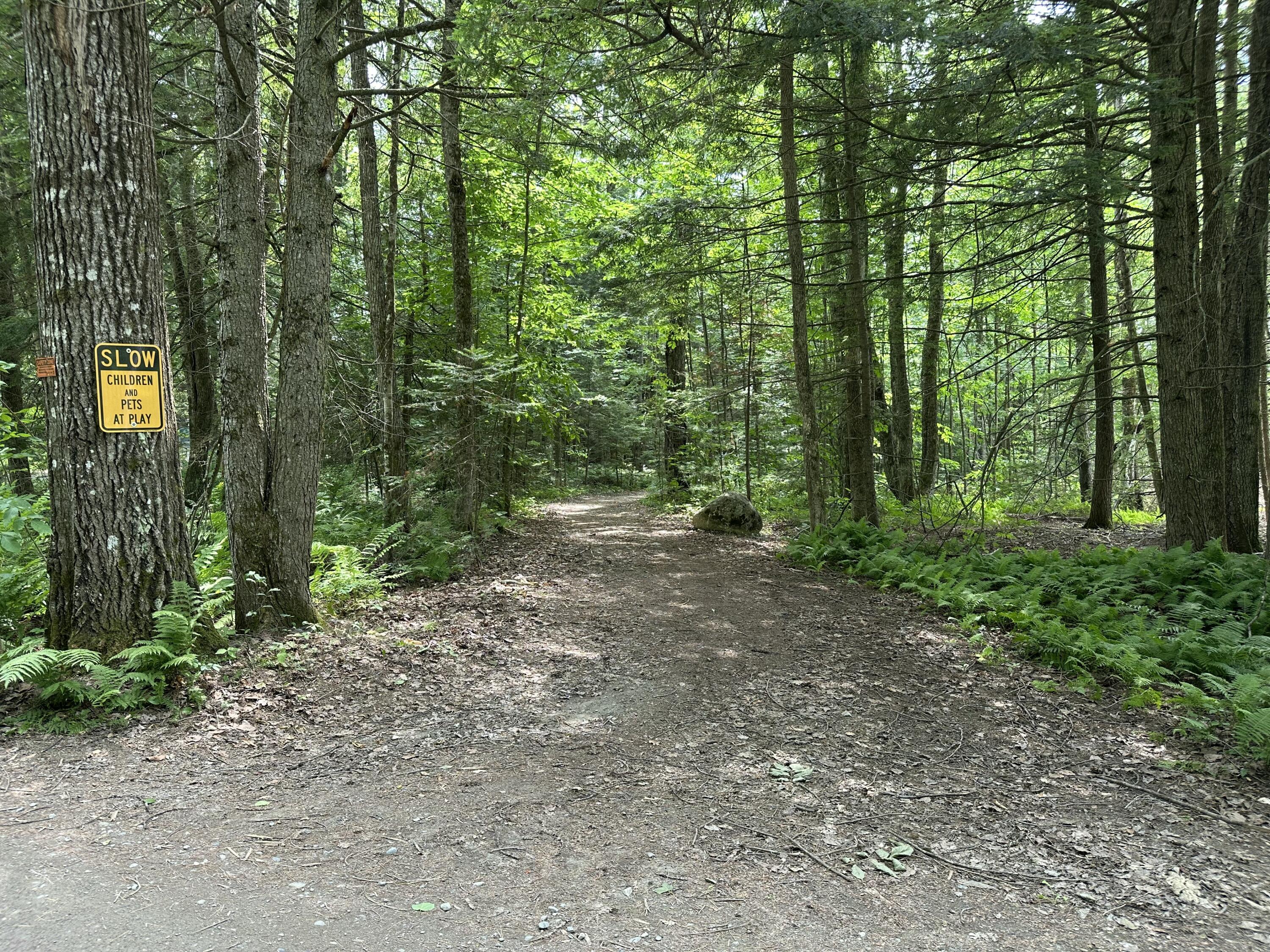 M40-l13-6 Mallard Road Madison, ME 04950 - Photo 9 of 14 IMG_0292