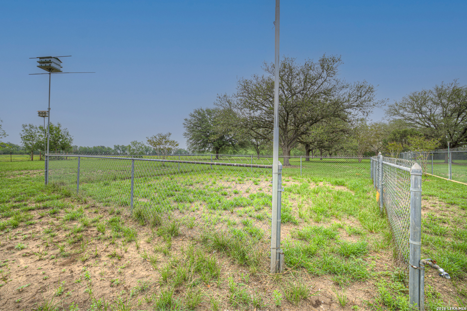 12737 Woman Hollering Road Schertz, TX 78154 - Photo 59 of 73