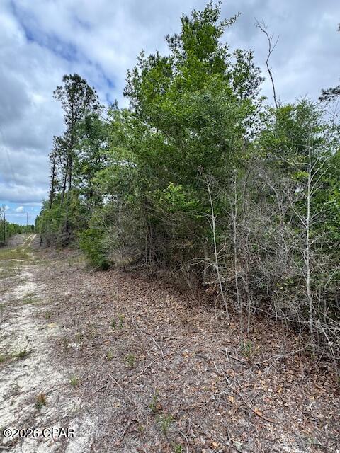 Tbd Pilgrim Rest Church Road Marianna, FL 32448 - Photo 2 of 13