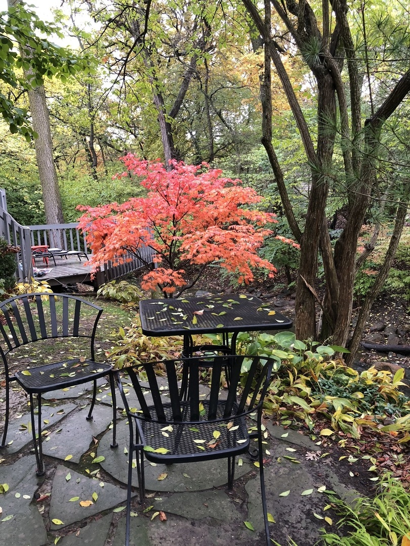 11515 Burr Oak Lane Burr Ridge, IL 60527 - Photo 62 of 73 a view of a chairs and table in the patio