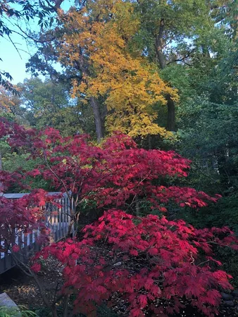 $949,999 | 11515 Burr Oak Lane, Burr Ridge, IL 60527