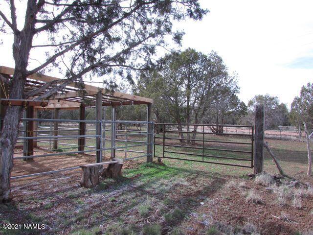 4214 Double A Ranch Road Williams, AZ 86046 - Photo 19 of 19 cruz19