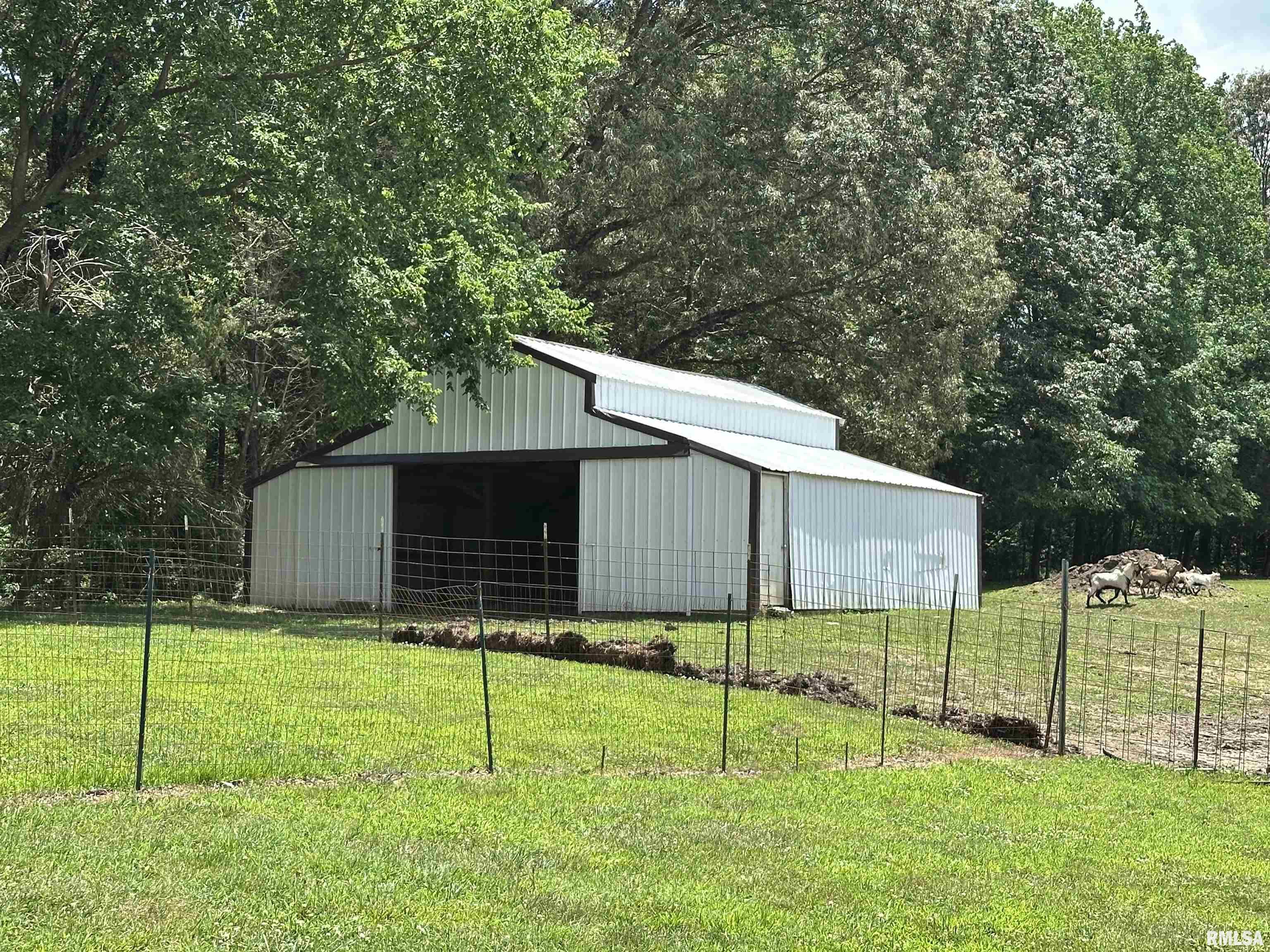 9997 Whitecotton Road Marion, IL 62959 - Photo 4 of 11