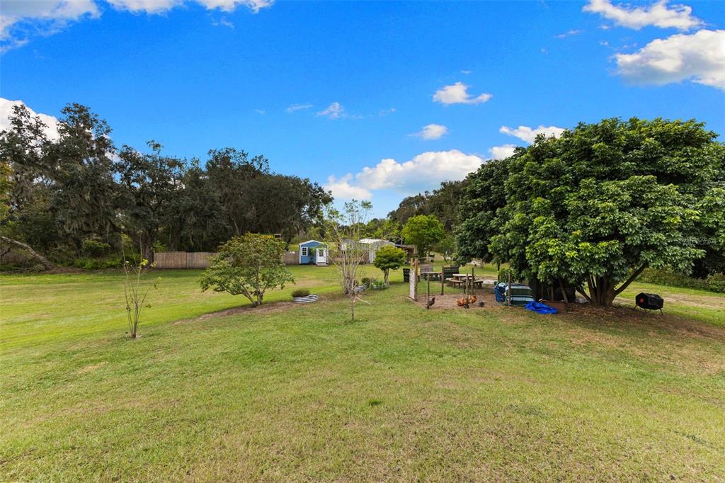 1103 Colson Road Plant City, FL 33567 - Photo 49 of 58