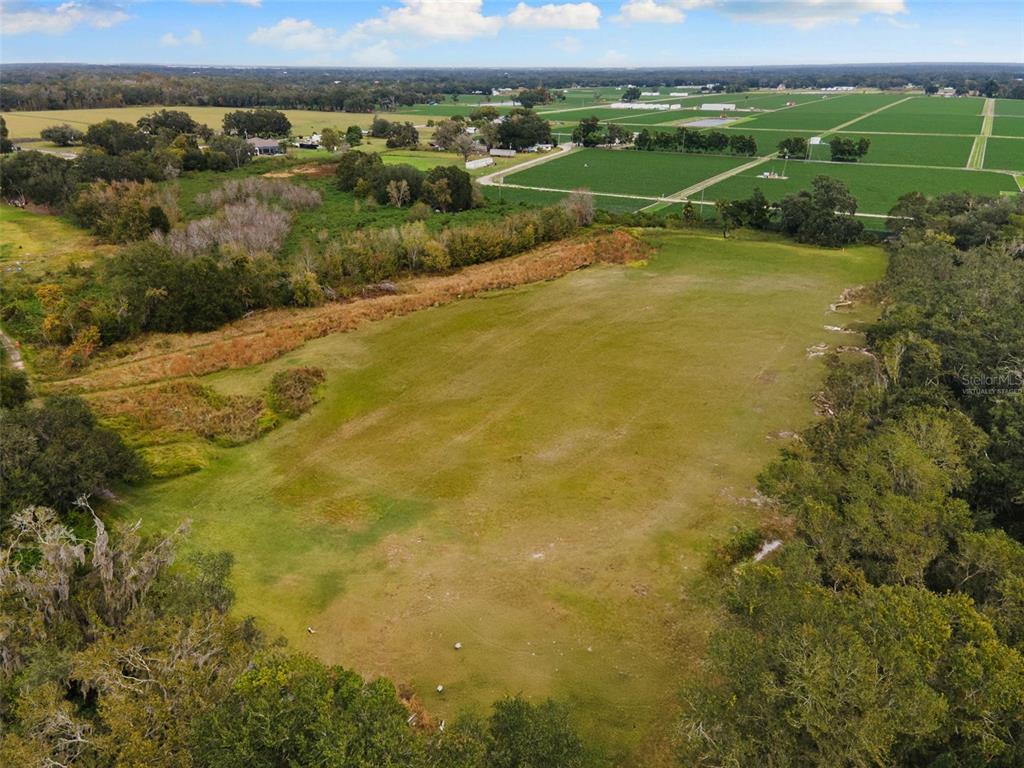 1103 Colson Road Plant City, FL 33567 - Photo 55 of 58