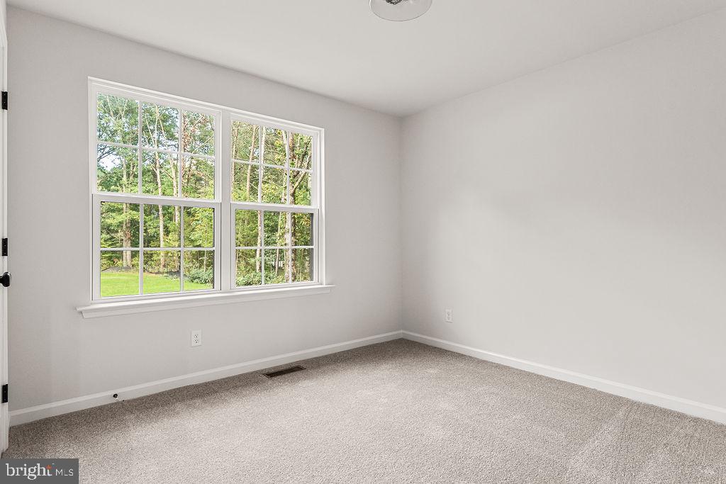 7888 Pine Stake Road Rhoadesville, VA 22542 - Photo 22 of 54 Gallery Image 22
