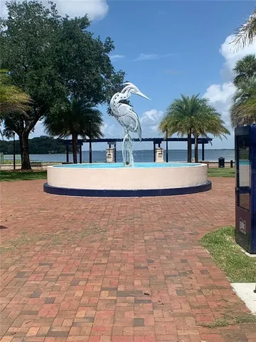 a view of a yard with plants