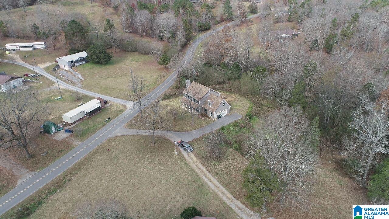 434 Mt Moriah Road Pell City, AL 35125 - Photo 24 of 25