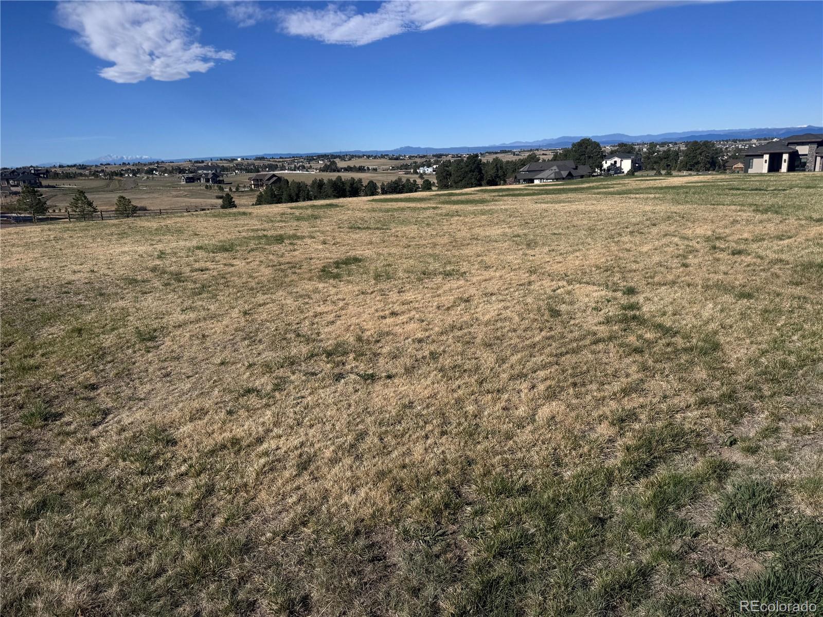 10773 Shadow Pines Road Parker, CO 80138 - Photo 4 of 5