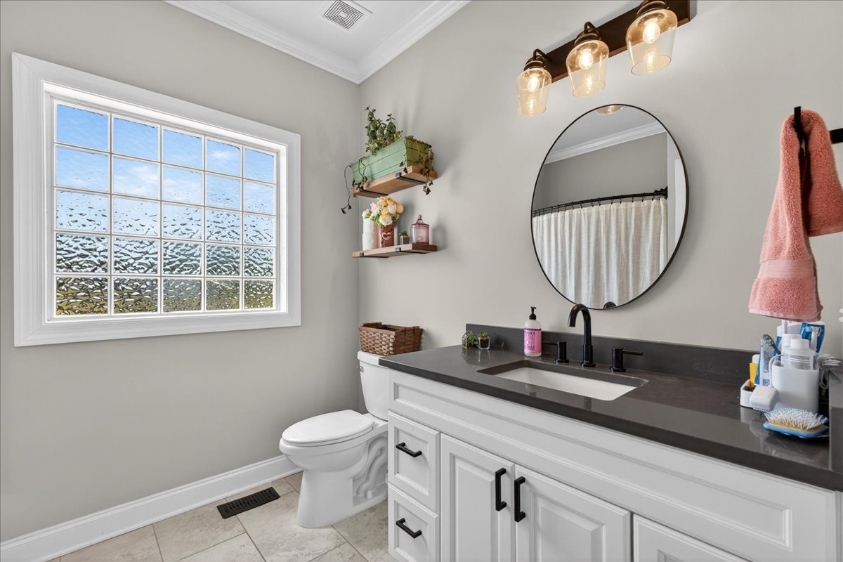11039 Panther Creek Road Christiana, TN 37037 - Photo 30 of 76 a bathroom with a toilet a sink and a mirror