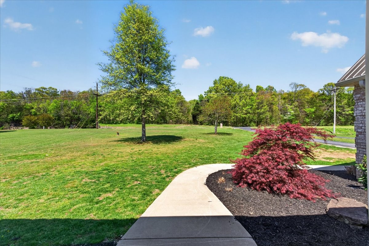 11039 Panther Creek Road Christiana, TN 37037 - Photo 62 of 76 a view of a garden with a large tree