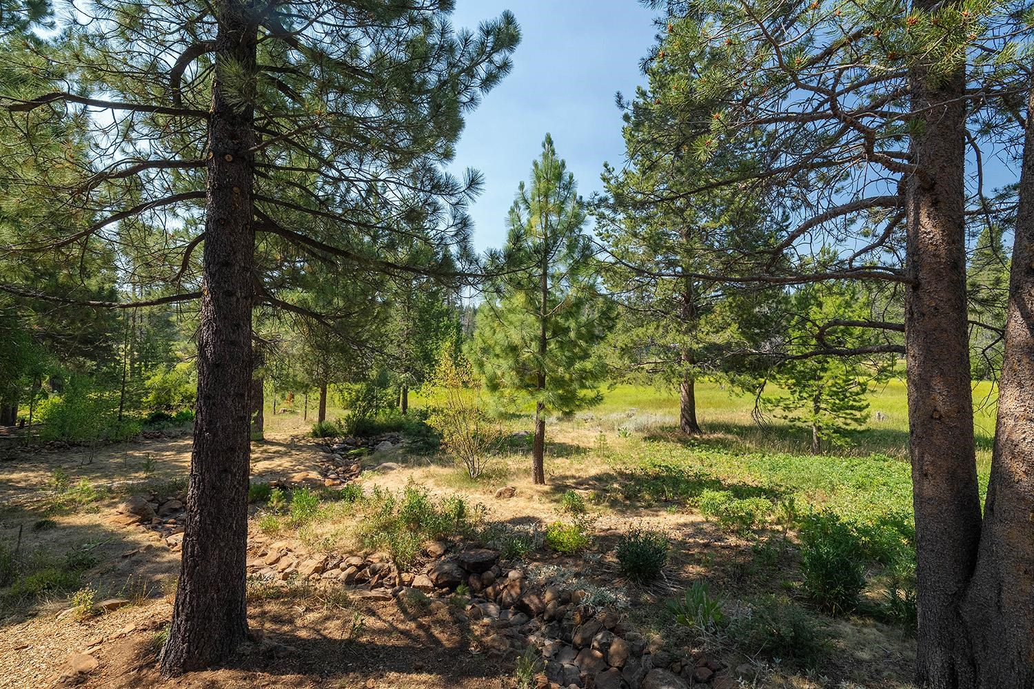 11904 Bennett Flat Road Truckee, CA 96161 - Photo 11 of 21 a view of a yard with large tree