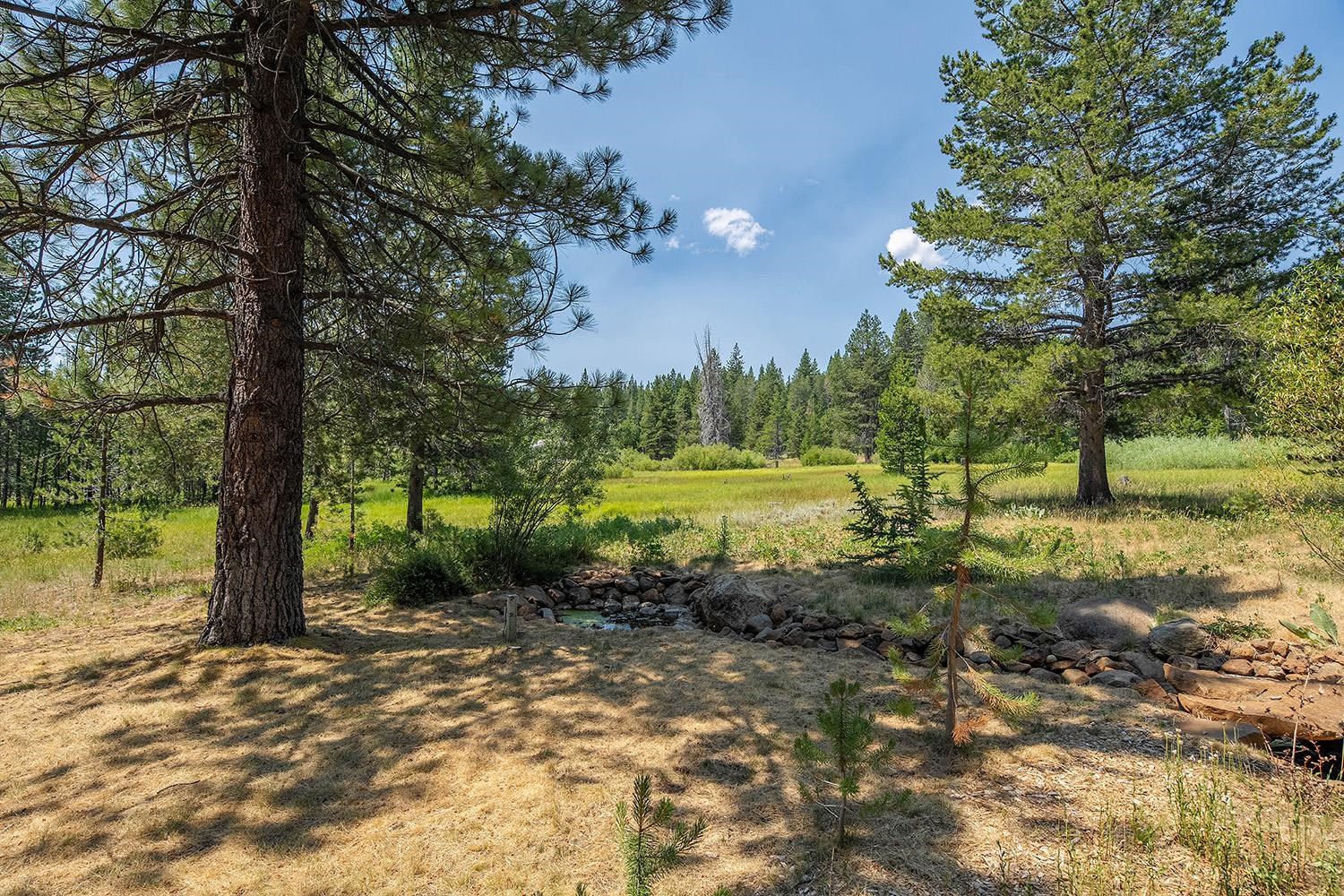 11904 Bennett Flat Road Truckee, CA 96161 - Photo 21 of 21 a view of a yard with a tree