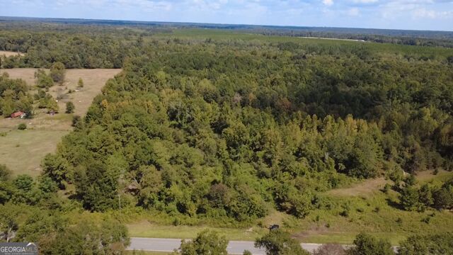 196 Gumlog Road Wrightsville, GA 31096 - Photo 16 of 19 Gallery Image 16