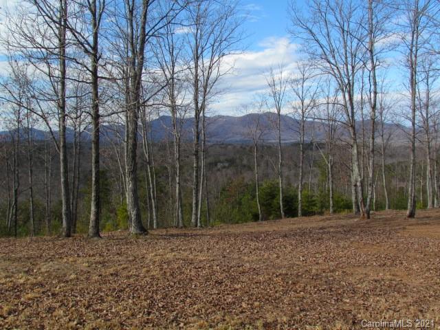 0 Prospect Point Drive, Unit 5 Tryon, NC 28782 - Photo 3 of 8 Gallery Image 3
