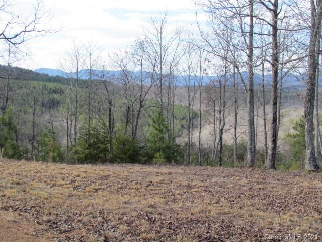 0 Prospect Point Drive, Unit 5 Tryon, NC 28782 - Photo 4 of 8 Gallery Image 4