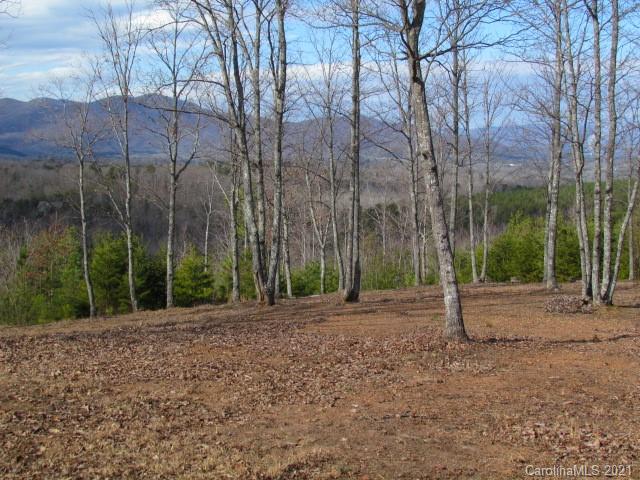 0 Prospect Point Drive, Unit 5 Tryon, NC 28782 - Photo 5 of 8 Gallery Image 5