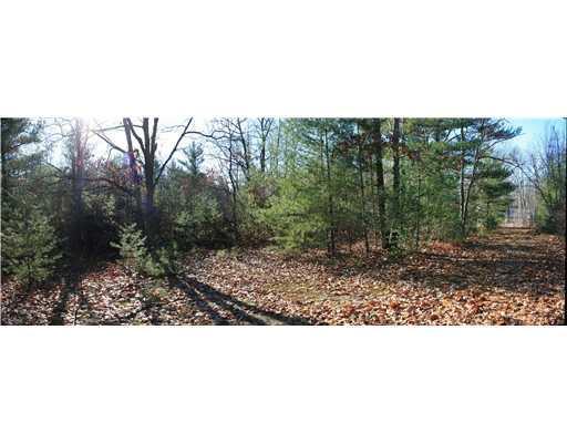 76 Stone Road West Newfield, ME 04095 - Photo 3 of 6 Land. view inside the lot, nice open...