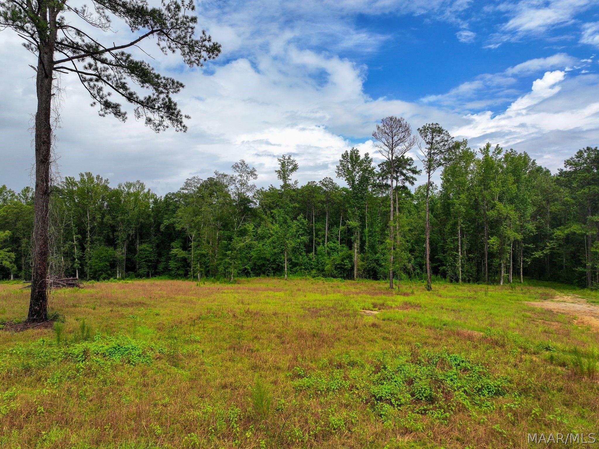 13 County Road 24 Road Auburn, AL 36830 - Photo 6 of 10 Gallery Image 6