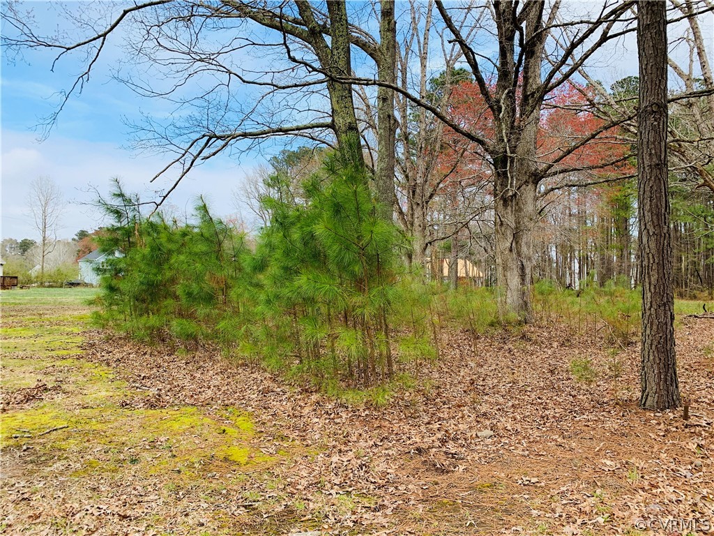 609 Maple Road Yorktown, VA 23690 - Photo 8 of 45 a backyard of a house with lots of green space