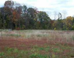 Newbridge Road Louisville, KY 40291 - Photo 1 of 1 Primary Photo