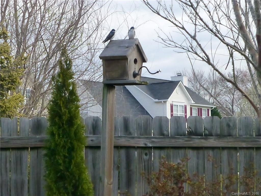 67 Wild Meadow Road Fletcher, NC 28732 - Photo 9 of 22 Gallery Image 9