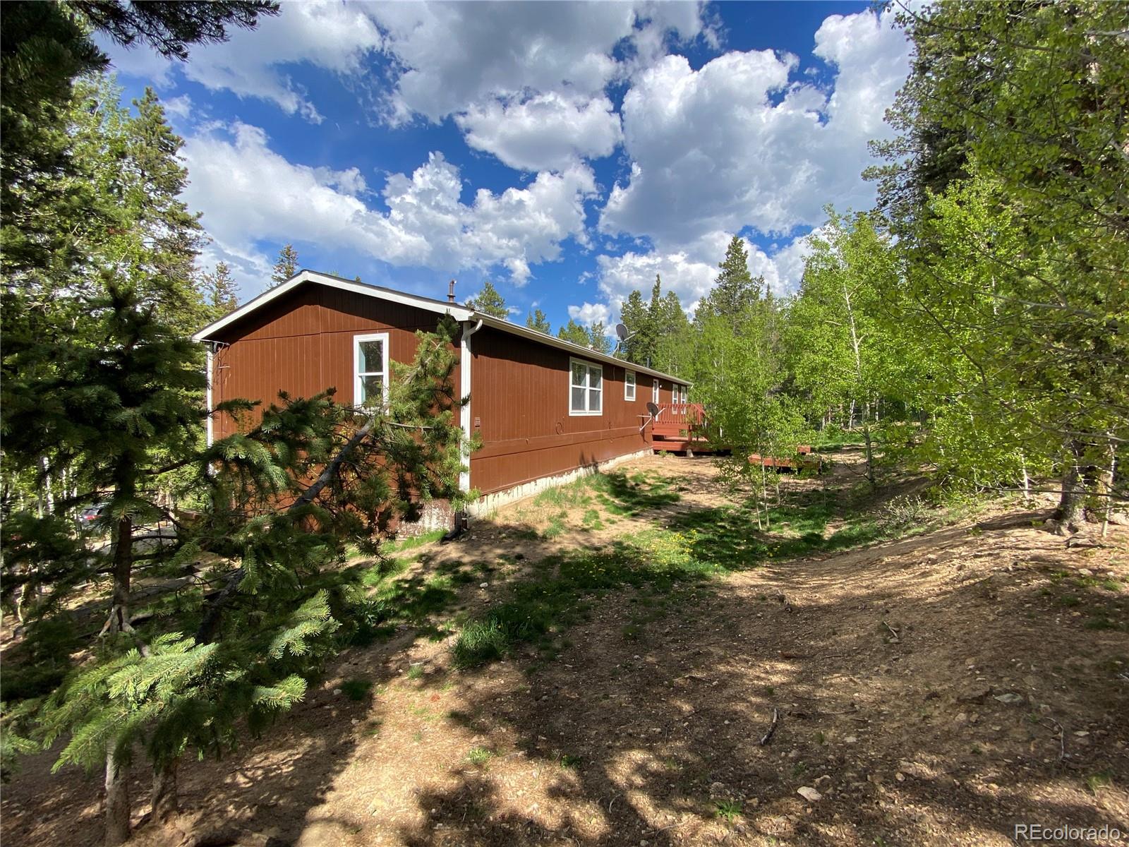 120 Blue Spruce Road Black Hawk, CO 80422 - Photo 3 of 27 a view of a yard with plants and a large tree