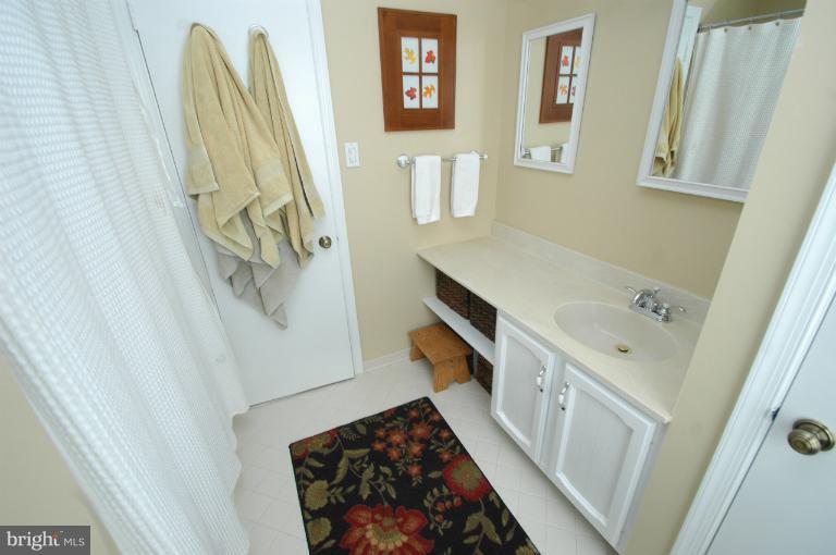 4331 Cub Run Road Chantilly, VA 20151 - Photo 5 of 30 a bathroom with a sink and a mirror