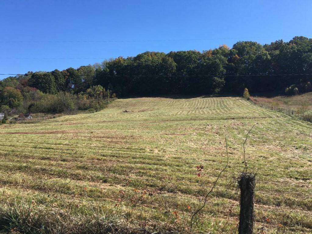 0 Baskett Road Limestone, TN 37681 - Photo 2 of 6 6