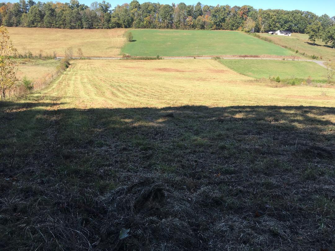 0 Baskett Road Limestone, TN 37681 - Photo 3 of 6 2