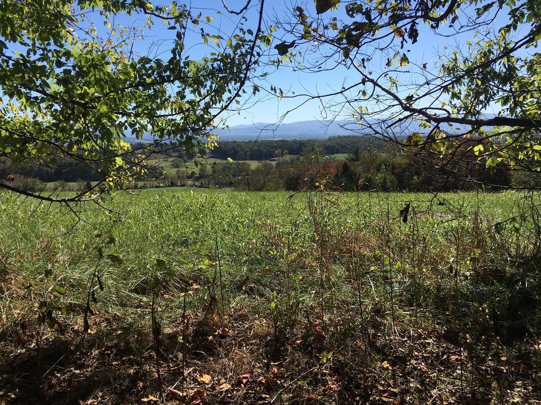 0 Baskett Road Limestone, TN 37681 - Photo 4 of 6 3
