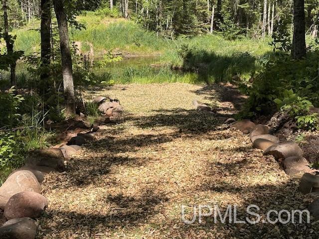 N7228 Rock River Road Deerton, MI 49822 - Photo 31 of 46
