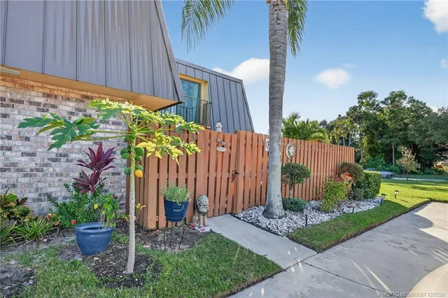 a view of a backyard with plants and a garden