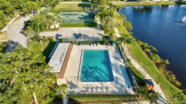 a view of flowers in a garden