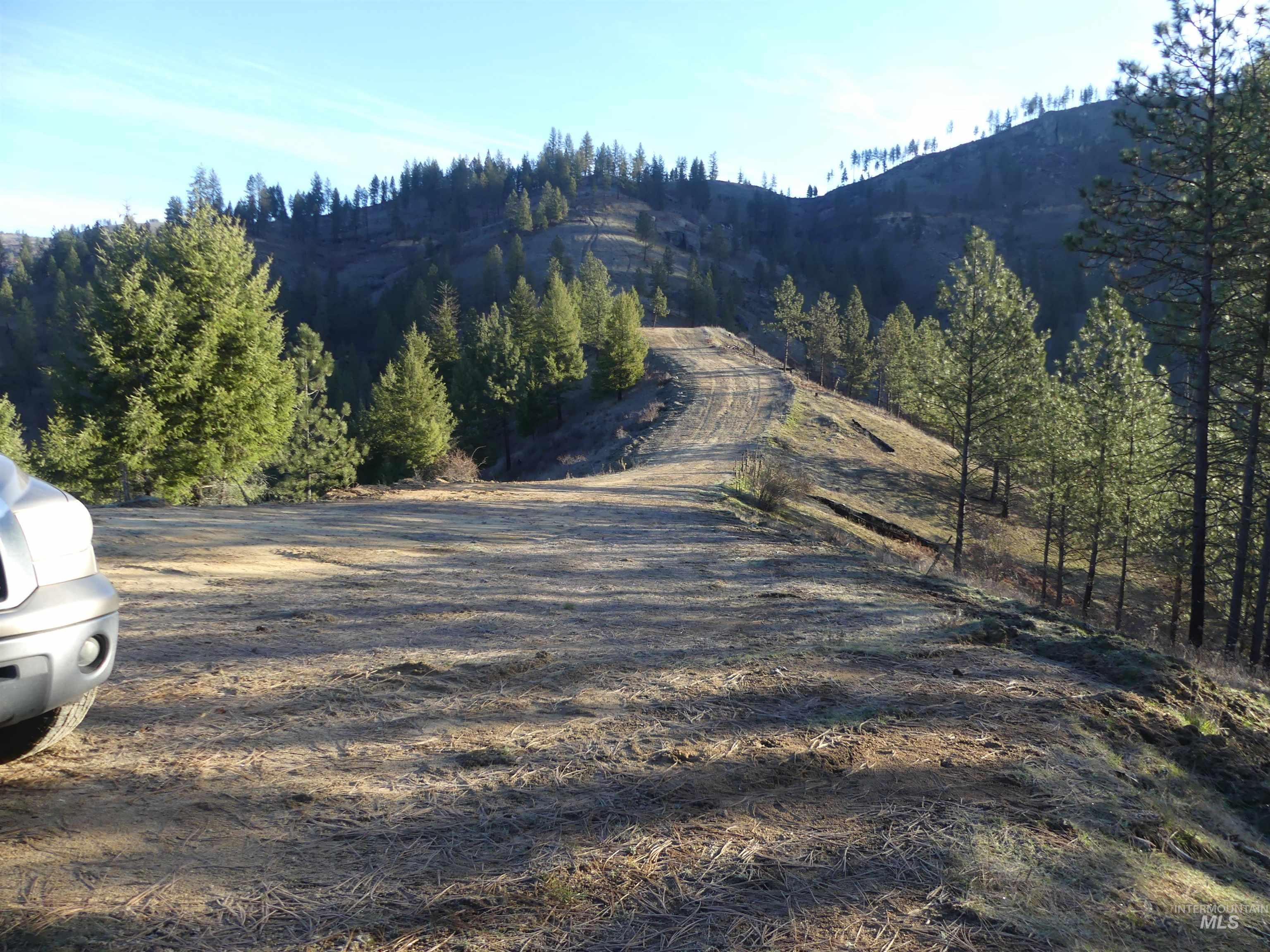 1408 Carrot Ridge Road Kamiah, ID 83536 - Photo 14 of 48
